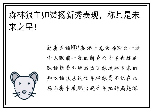 森林狼主帅赞扬新秀表现,称其是未来之星!