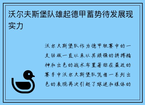沃尔夫斯堡队雄起德甲蓄势待发展现实力