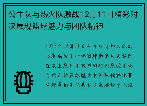公牛队与热火队激战12月11日精彩对决展现篮球魅力与团队精神