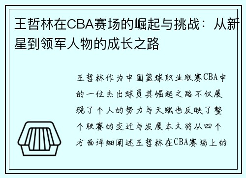 王哲林在CBA赛场的崛起与挑战：从新星到领军人物的成长之路